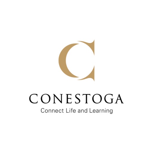 Information Technology Network Security — Contestoga University education image
