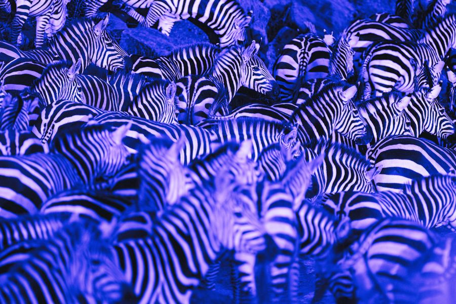 who-protects-the-protectors-the-growing-leadership-gap-in-cybersecurity
